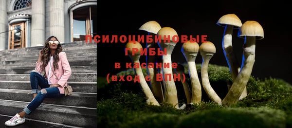 стафф Арсеньев