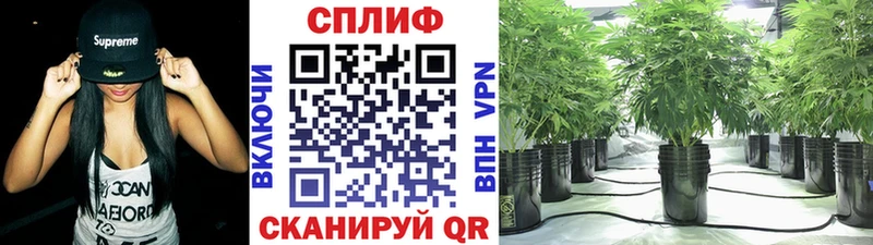 Марихуана марихуана  hydra ONION  Темрюк  хочу  